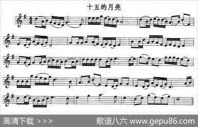 十五的月亮