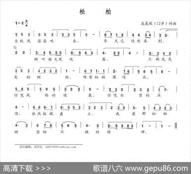 松柏 - 高晨琛|高晨琛