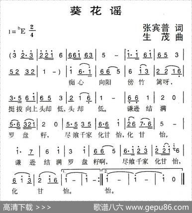 葵花谣 - 张宾普|生茂