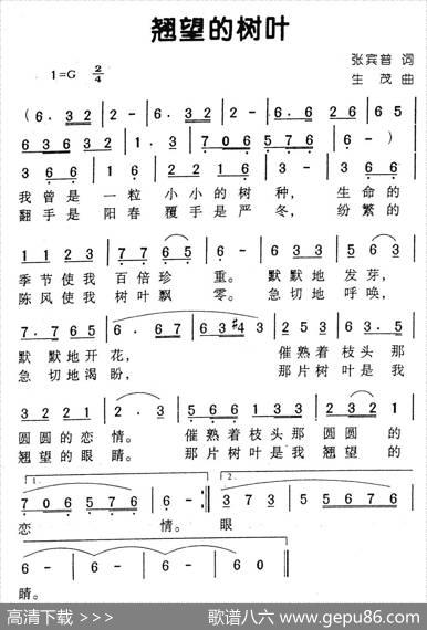 翘望的树叶 - 张宾普|生茂