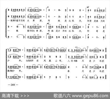 花儿与少年（合唱）