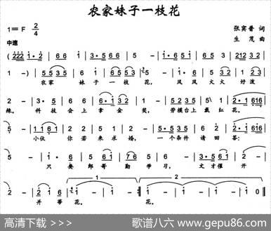 农家妹子一枝花 - 张宾普|生茂