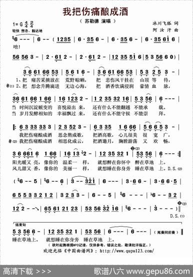 我把伤痛酿成酒 - 冰川飞狐|阿汝汗