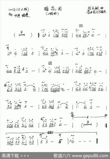 梅花泪（二胡谱李本良订弓指法）|刘亦敏
