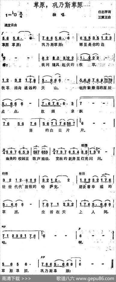 草原，巩乃斯草原 - 任志萍|王震亚