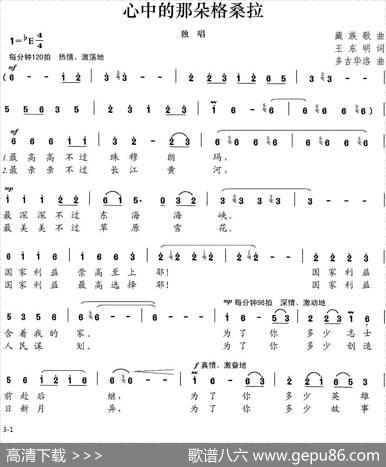 心中的那朵格桑拉 - 王东明|多吉华洛