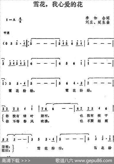 雪花，我心爱的花 - 李如会|刘庄、延生