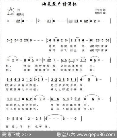 油菜花开满情怀 - 于全莉|韩晓辉