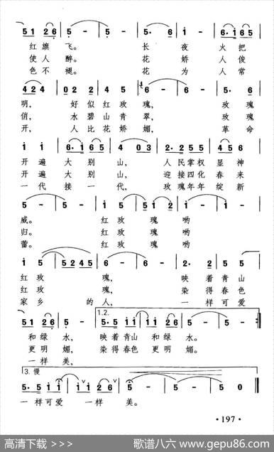 我爱家乡的红玫瑰 - 王和泉|晓其