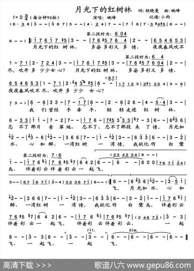 月光下的红树林 - 胡晓曼|姚峰