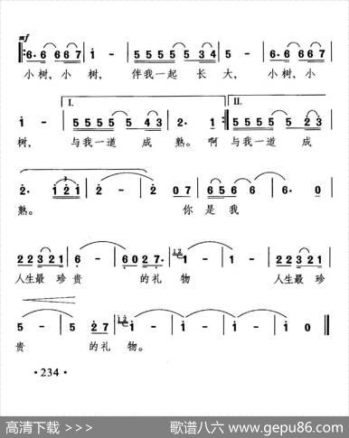 窗前的小树 - 黄平|晓其