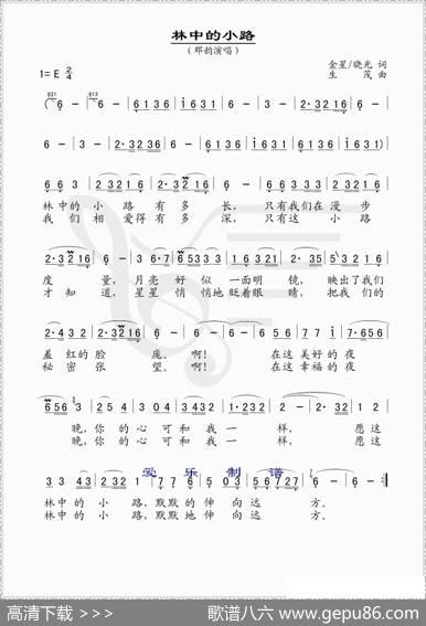 林中的小路（金星词生茂曲） - 金星、晓光|生茂