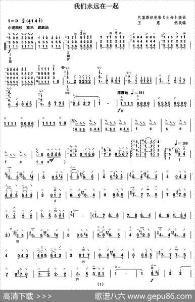 柳琴考级曲目八级：我们永远在一起|王惠然改编