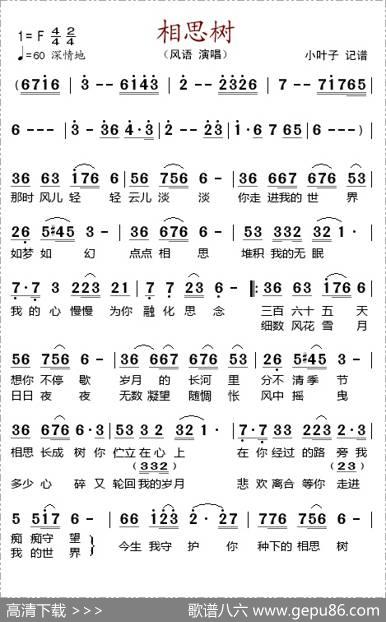 相思树