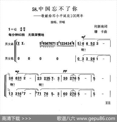 中国忘不了你（独唱+伴唱） - 何新南|珊卡