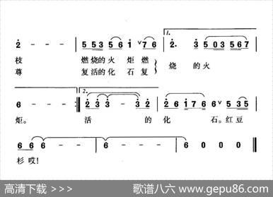 铜钹山上红豆杉 - 俞明龙|珊卡