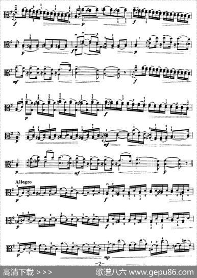 G大调音乐会练习曲（中提琴）|[意]罗拉