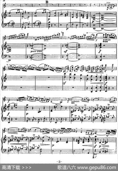 第五协奏曲（A小调）（小提琴+钢琴）|[比]维俄当
