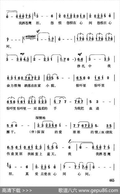 苍鹰泪（何新南词珊卡曲） - 何新南|珊卡