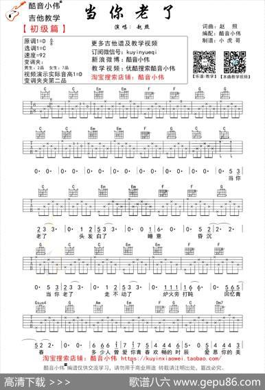 当你老了（赵照词曲、酷音小伟编配版）|赵照词曲、酷音小伟编配