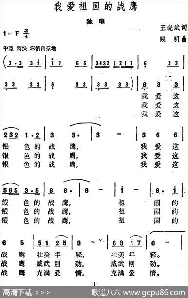 我爱祖国的战鹰 - 王晓斌|践明