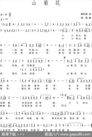 山菊花（陈传祯词，梁铭曲，演唱：李琪） - 陈传祯|梁铭