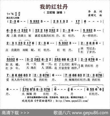 我的红牡丹（李森词黄耀文曲） - 李森|黄耀文