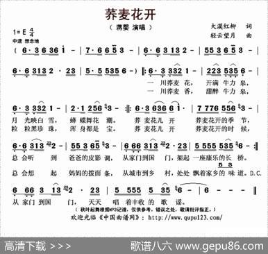 荞麦花开 - 大漠红柳|轻云望月