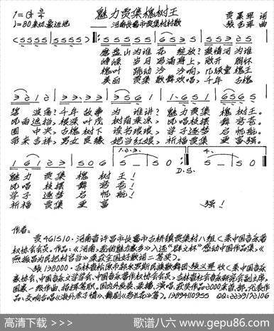 魅力贾集槐树王 - 贾累军|张艺军