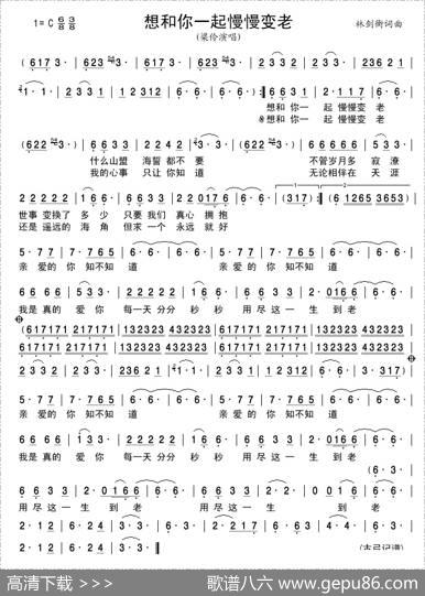 想和你一起慢慢变老 - 林剑衡|林剑衡