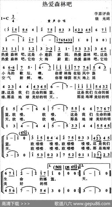 热爱森林吧 - 晓光|李嘉评