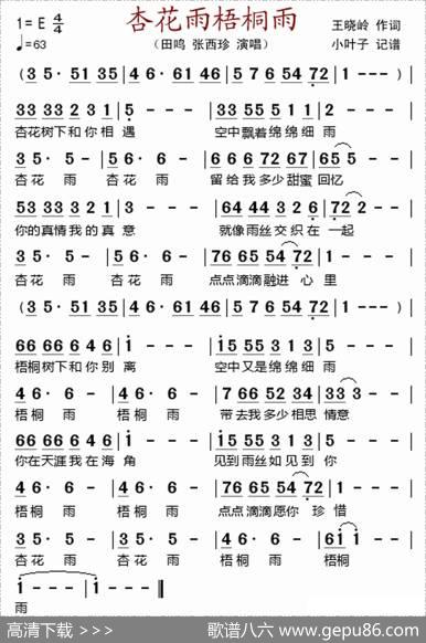 杏花雨梧桐雨 - 王晓岭
