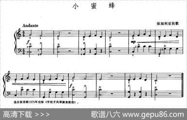 小蜜蜂