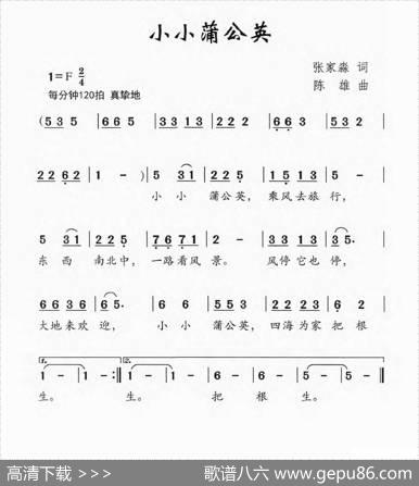 小小蒲公英（张家淼词陈雄曲） - 张家淼|陈雄