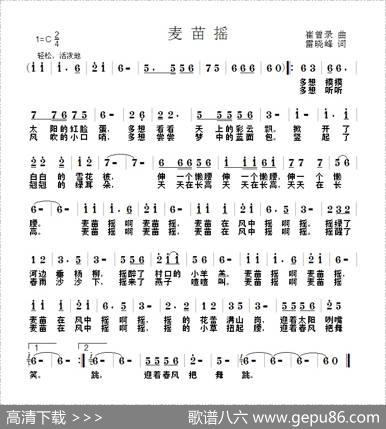 麦苗揺 - 崔增录|雷晓峰