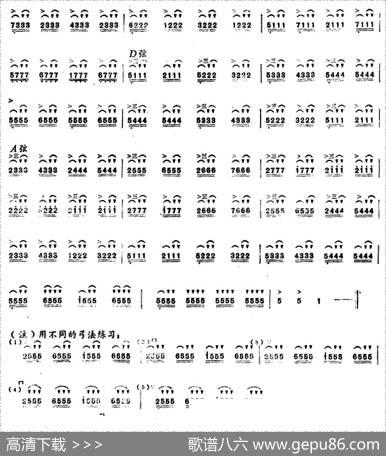 二胡技巧练习曲：击弓练习|张泽伦编曲