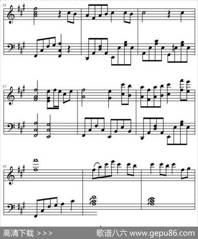森林狂想曲