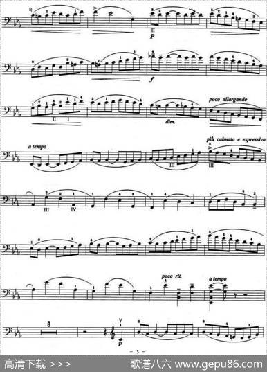 C小调协奏曲（第一乐章）