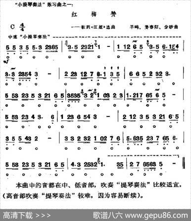 红梅赞|羊鸣姜春阳金砂