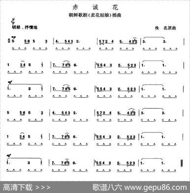 赤诚花