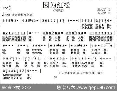 因为红松 - 王元才|张朱论