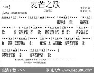 麦芒之歌 - 宋立安|张朱论