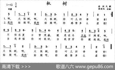 枞树（德）