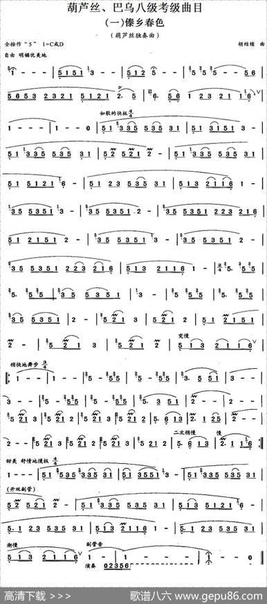 葫芦丝、巴乌八级考级曲目：傣乡春色|胡结续