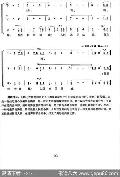 在银色的月光下