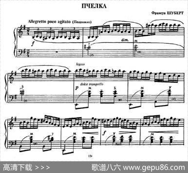 蜜蜂（Пчелка）|舒伯特