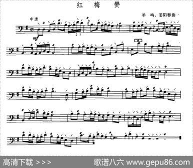 红梅赞（大阮练习简短乐曲）|羊鸣，姜阳春