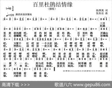百里杜鹃结良缘 - 杨厚爽|张朱论
