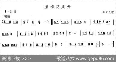 中国民族民间舞曲选（一)东北秧歌：腊梅花儿）