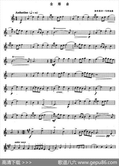 金婚曲（加布里尔·马利亚作曲版）|加布里尔·马利亚